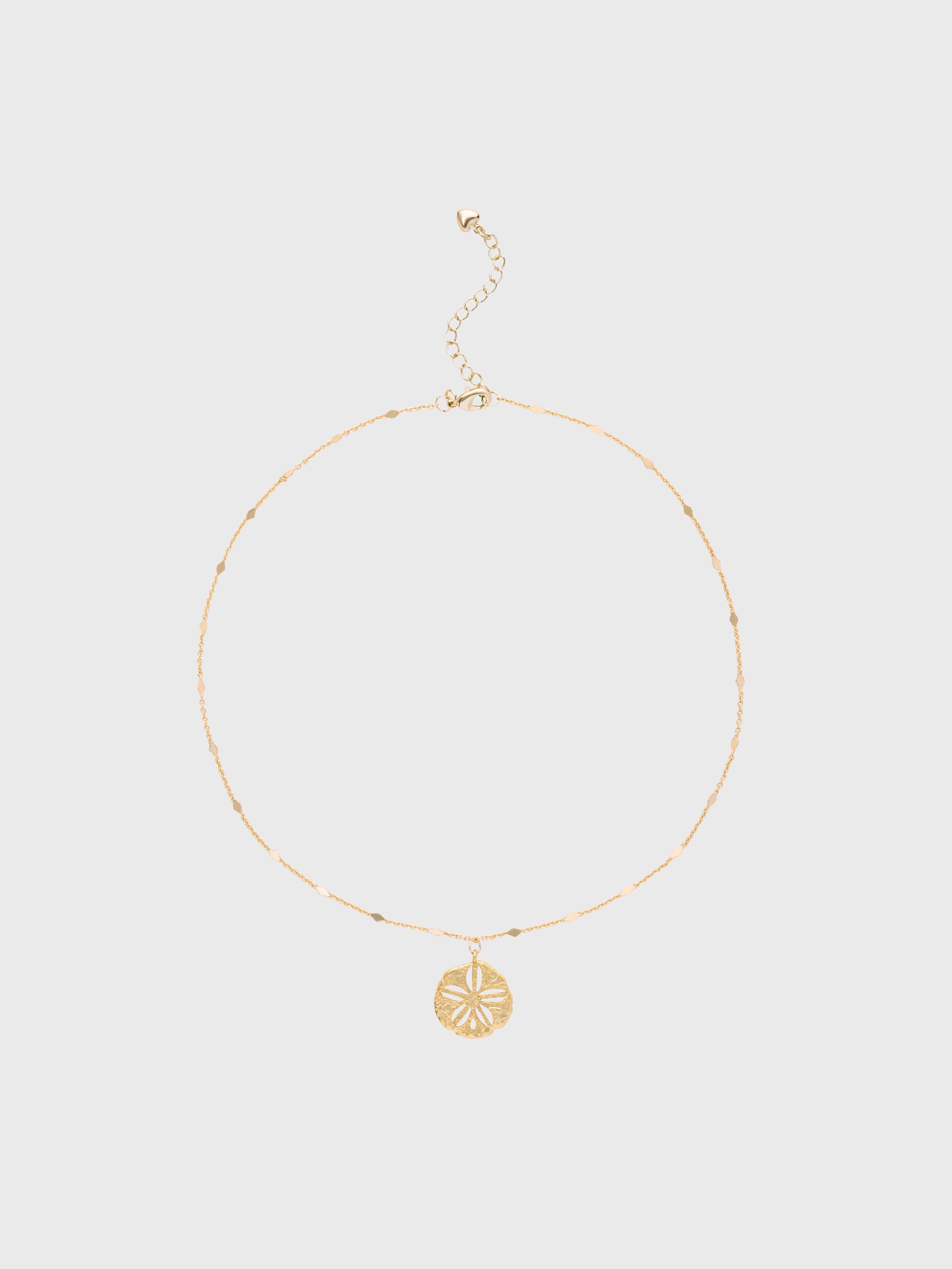 Sea Urchin Coin Necklace
